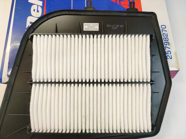 AC Delco A2029C / 25798270 Professional Air Filter
